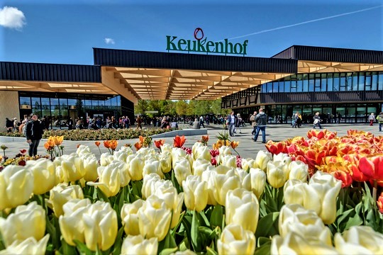 Repräsentative Visitenkarte: das neue Foyer des größten Frühjahrsparkes der Welt. Foto: Keukenhof